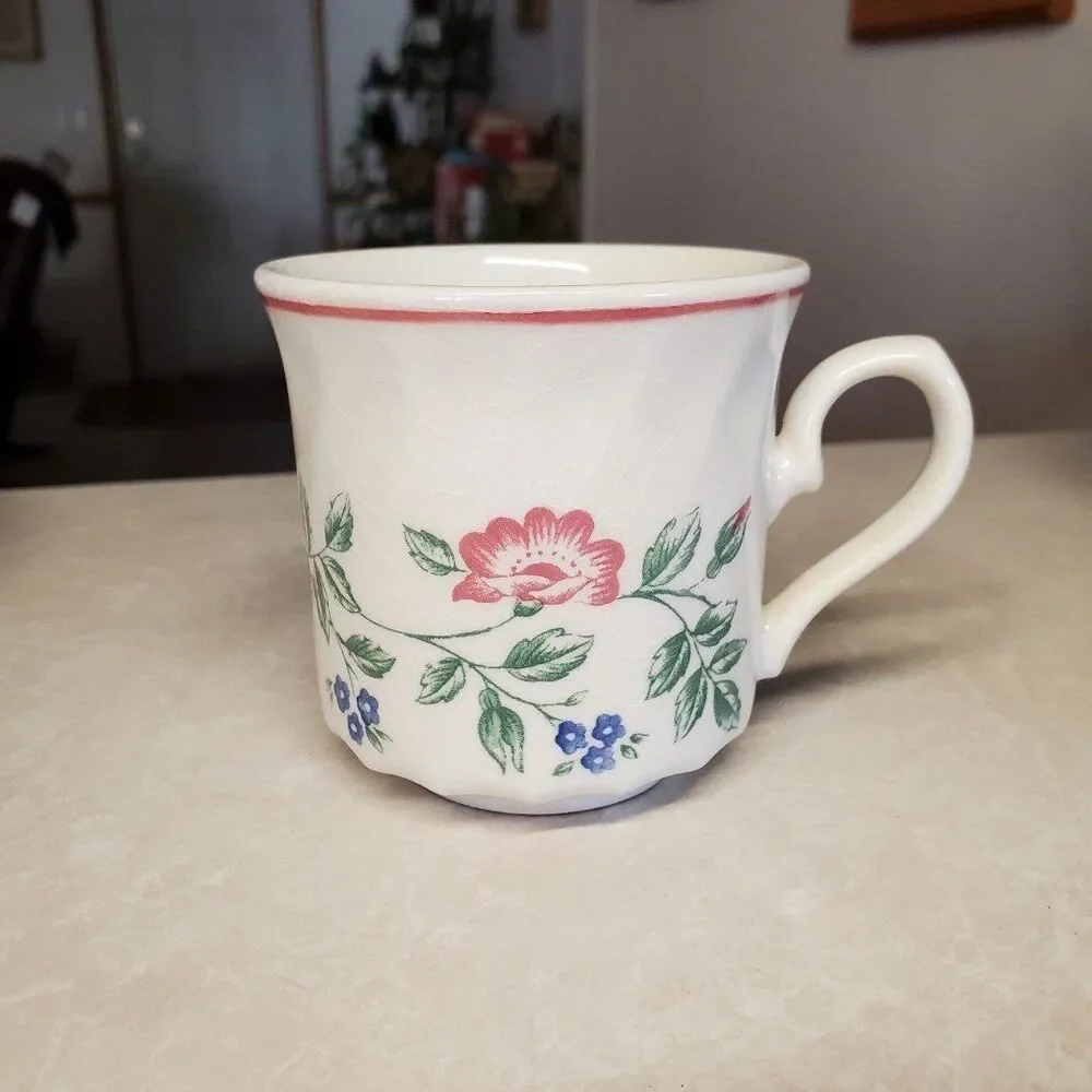 Briar Rose by Churchill Flat Cup & Saucer Set  Staffordshire England